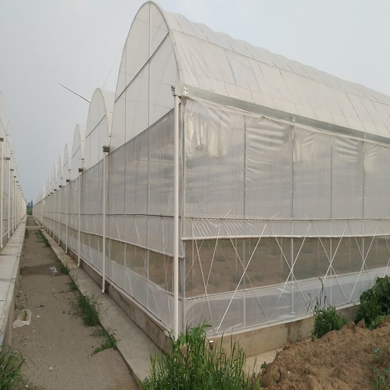 新疆农业科技的发展现状与未来展望