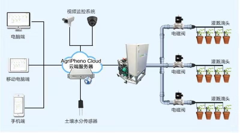 智能温室建设：现代农业的未来风向标